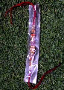 Elegant Rakhi - New in Package