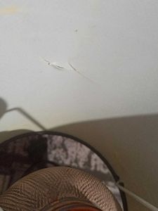 Table Lamp Without Blub
