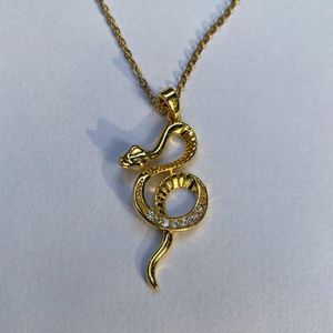 Anti Tarnish Stainless Steel Serpentine Necklace