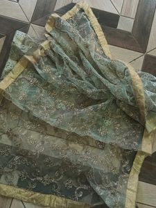 Elegant Net Dupatta