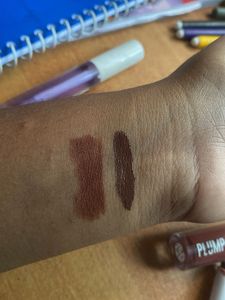 Zudio Lipstick Bundle (brown Shades)