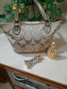 Coach Signature Canvas Satchel