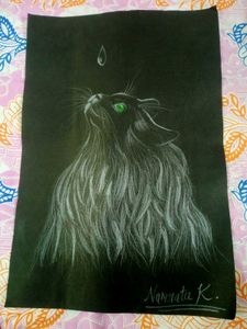 Cat drawing, handmade On Black Paper.