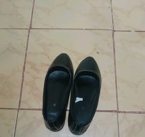 Black Bellies