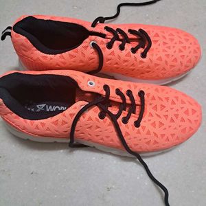 New Branded Shoes
