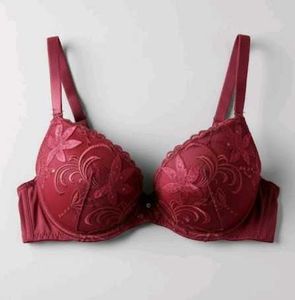 Elegant Maroon Bra