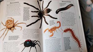 Visual Encyclopaedia