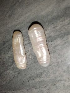 Freshwater Pearl Natural