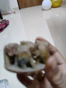 6cuties Stone Elephants Excellent