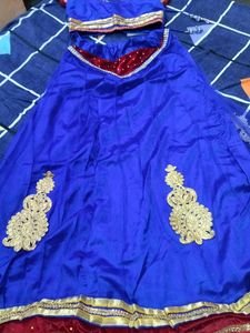 Blue Embellished Lehenga Choli
