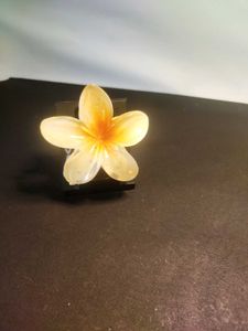 Trending Flower Clutcher