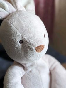 soft plushie teddy
