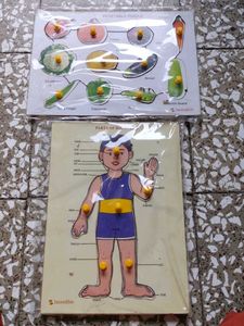 Educational Puzzles: Vegetables & Body Parts