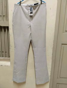 Express Editor Barely Bootcut Pants