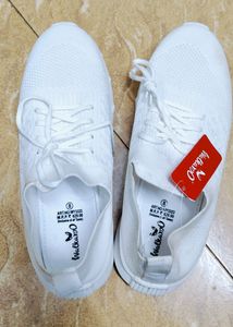 Shoe