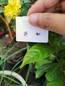 Sliver Studs With Hallmark