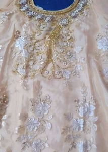 Beautiful Party Wear Set