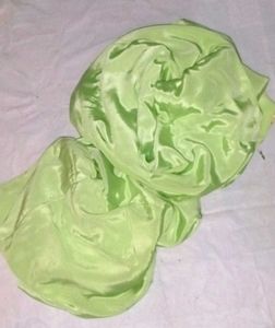 Silk Green Suit