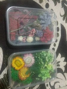 NEW  FLOWERS FOR RESIN ART PACK OF 2