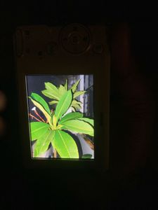Nikon Coolpix Digital Camera