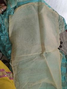 Saree Cover 8 Pics