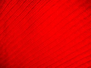 Red Ribbed Knit Polo Top