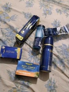 Park Avenue Grooming Kit