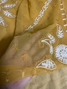 Lucknowi Chikankari Saree