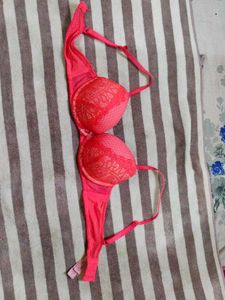 Pink Net Embroidery bra