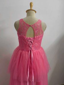 Pink Lace &amp; Tulle Party Dress