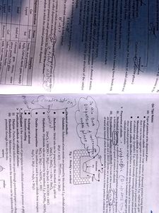 Class 12 Sample Paper Of CBSE (Combo)