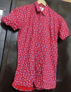 Red Half Sleeves Shirt For Boy & Men 38 Chest