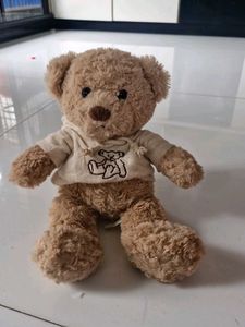 Cute Hoodie Teddy