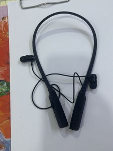 Boat Wireless Neckband