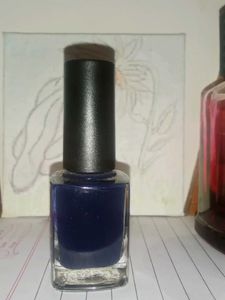 Aesthetic Navy Blue Nail Colour