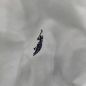 Original White U.S. Polo Assn. Shirt