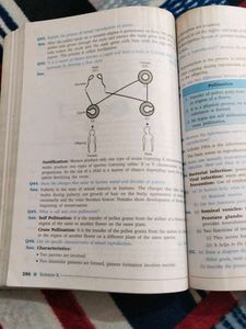 Class 10 Science CBSE Guide With All Type Question