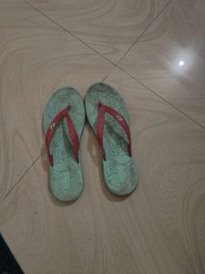 Blue Slipper