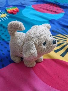 Dog Toy