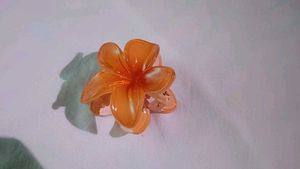 Set of 6 -Hair Claw Clips