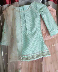 Sharara Set In Pastel Green And Peach