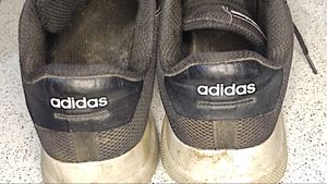 Orignal Adidas Shoes For Men