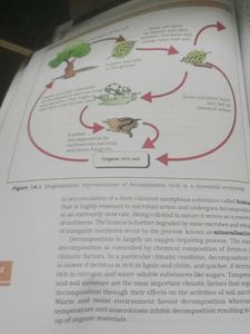 Biology Textbook