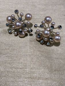 Fancy Earring