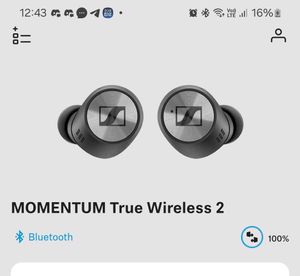 BEST SOUNDING EARPHONES!