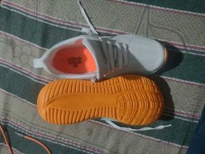 Birde Running Shoes 2 Colour Available