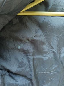 Aesthetic Padded Jacket