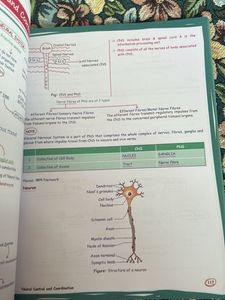 med easy zoology by samapti mam