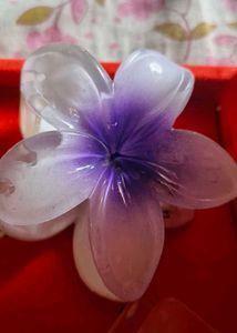 Hair Clutcher Combo OF 6