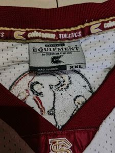 Vintage Florida State Seminoles XXL (RARE Jersey)
